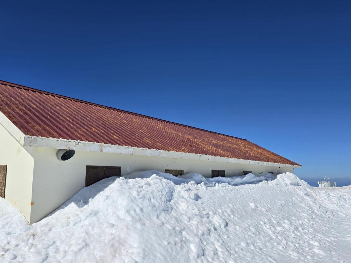 Hotel Albergaria Senhora Do Espinheiro セイア エクステリア 写真